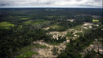 L'Amazonie grignotée par la ruée vers l'or clandestine