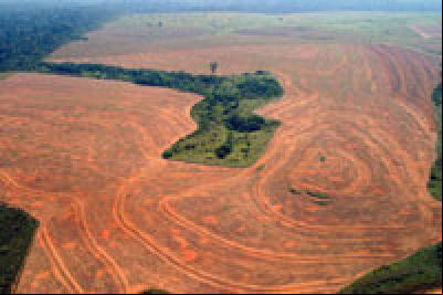 While Brazil Urges Climate Consensus Abroad, Environmental Concerns Loom at Home