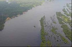 Brasil sentencia de muerte la selva del Amazonas