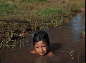 Brésil : une tragédie indienne
