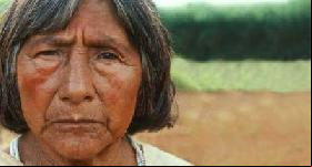 Génocide indigène en vue au Brésil : la Justice Fédérale ordonne l’expulsion des indiens Guarani-Kaiowá