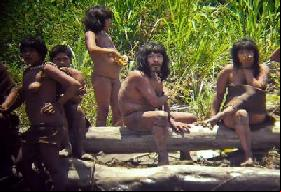 Safaris humains dans la jungle péruvienne