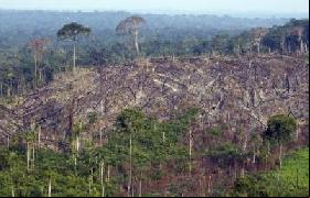 Amazonie: la déforestation a quintuplé en octobre au Brésil