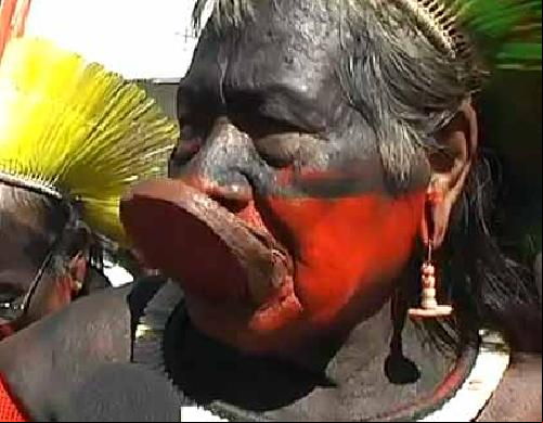Pétition de RAONI contre le barrage de BELO MONTE : le cap des 50 000 signataires est franchi