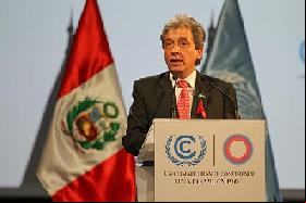Latin American Countries at COP20 : Reflections and Outlook for 2015