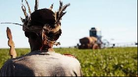 The impact of agro-fuels on the Guarani-Kaiowá