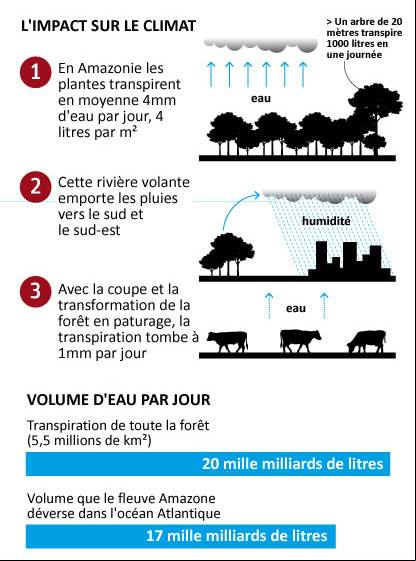 Déforestation impact climatique